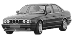 BMW E34 P0403 Fault Code